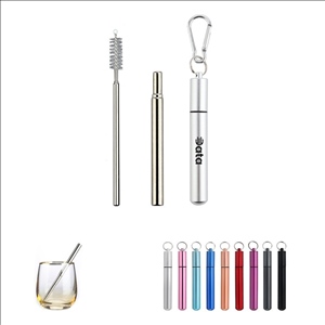 Collapsible Stainless Steel Beverage Straw Set with Keychain